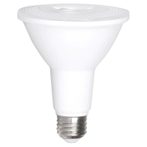 Beautiful Light Technology Corp.